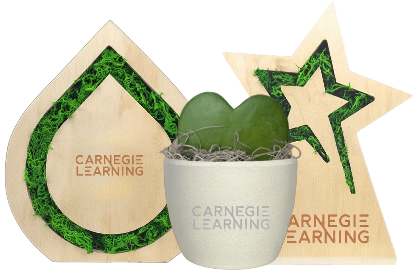 Branded recognition awards and a potted plant